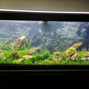 Publication de Aquascape