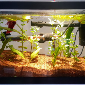 Nano 12l