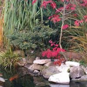 leman_aquatique