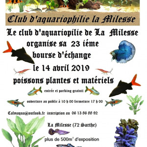 Poisson