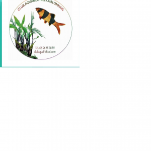 club_aquariophile_chalonnais