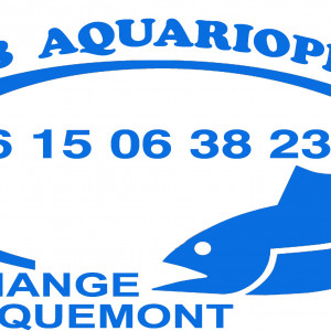 club aquariophilie Club Aquariophile Crehange er Faulquemont