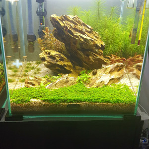 Nano scape