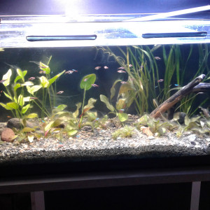 600l