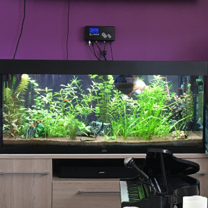 Publication de Jocker59