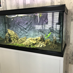 Mon aquarium
