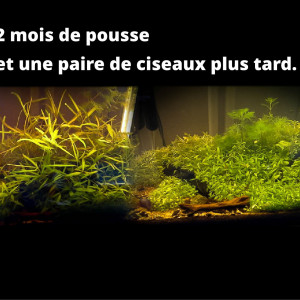 Publication de chupa