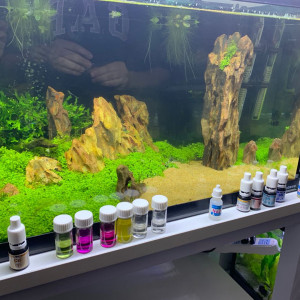 Aquascape 90l