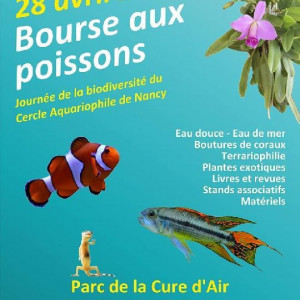 Bourse Cercle Aquariophile De Nancy