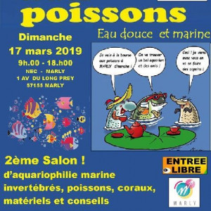 21ème Bourse Club Oleron La Louvière