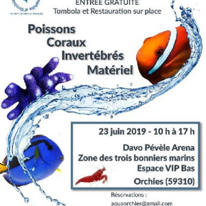 2ème Bourse Marine Et Récifale Du Nord