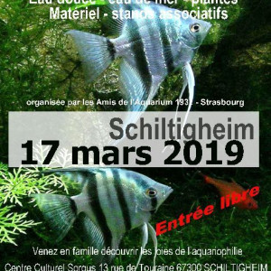 Amis De L'aquarium 1932