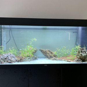 RIO 240