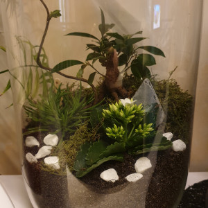 sebcat-inaya-tino-mavie