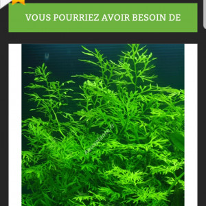 Publication de philippe-vallat