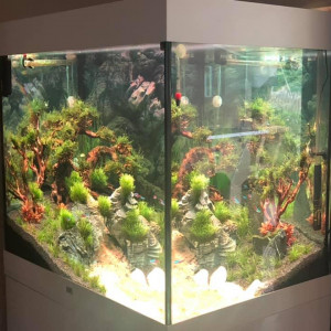 Lido200