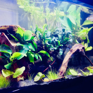 Nano Aquarium 20.4L