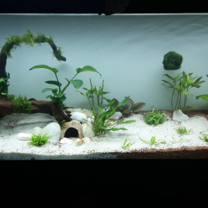 120L