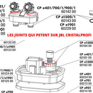 Publication de chupa