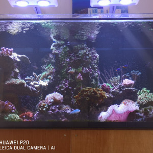 Publication de Cedric46