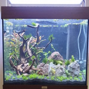 120l communautaire