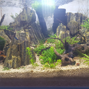 Nano 30 litres
