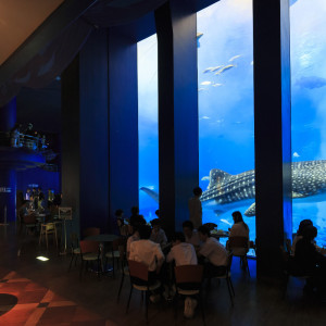 Cafequarium