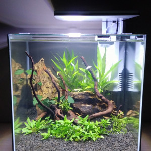 Nano 30L