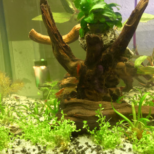AMTRA 18L