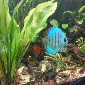 Publication de Phil34