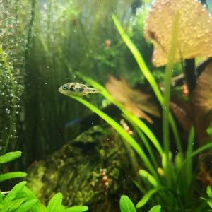 Publication de Jo2212