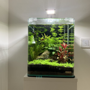 Nano 20 L beta