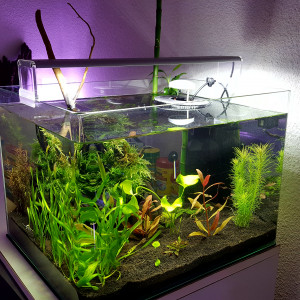 Nuage Dennerle Scapers Tank 35 L