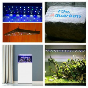 T3e.Aquarium