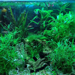 Nano 30 litre