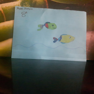 Publication de Lulu82