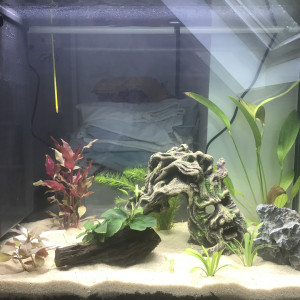 Aquarium