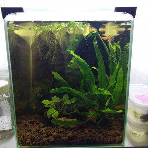 18 L White Pearl