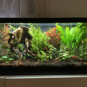 Publication de tiffany-pou