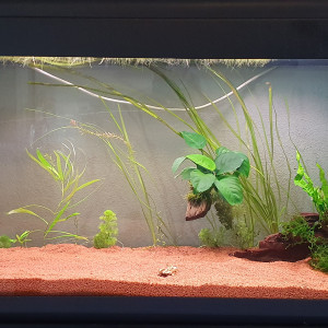 Publication de seb1398