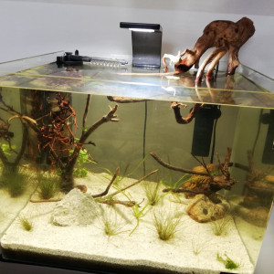 Publication de sebduj