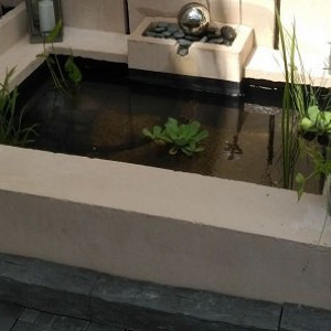La fontaine