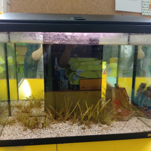 80 L