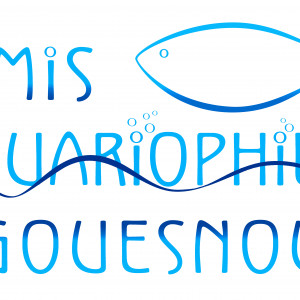 club aquariophilie Amis aquariophiles de Gouesnou