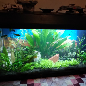 Principal 120L