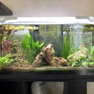 Publication de tdd69