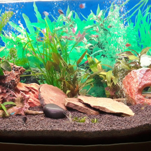 Publication de denise