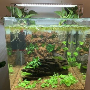 Nanocube 60L