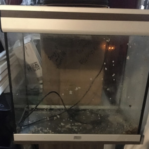 aquarium 125L
