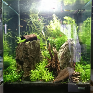 Nano Cube 60